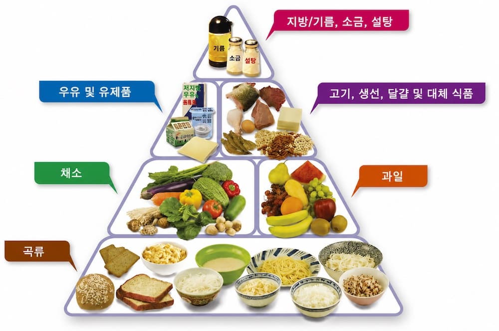 Food pyramid showing the components of a balanced diet